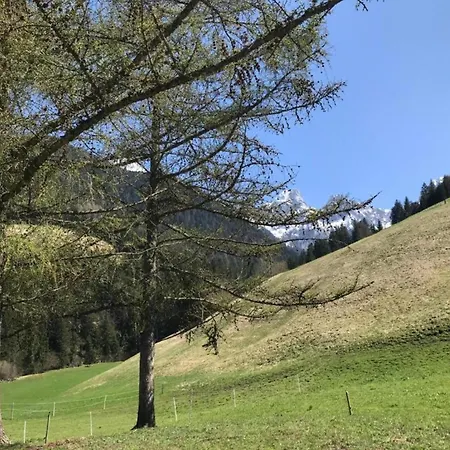 Modern In Sellinghausen With Terrace Апартаменты