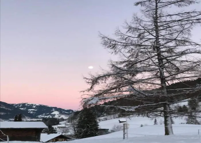 Apartment Modern In Sellinghausen With Terrace *