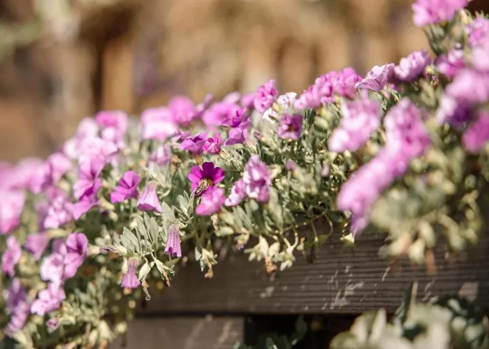 Modern In Sellinghausen With Terrace