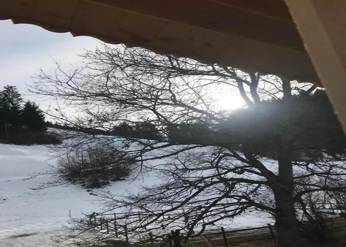 Modern In Sellinghausen With Terrace Apartment *