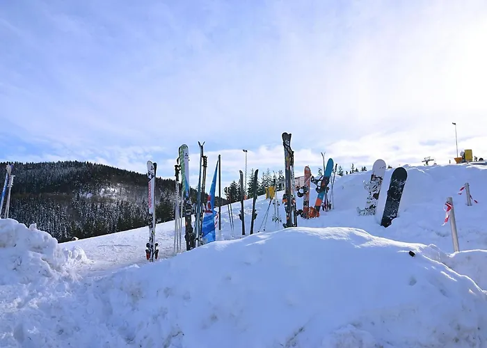 Modern In Sellinghausen With Terrace *