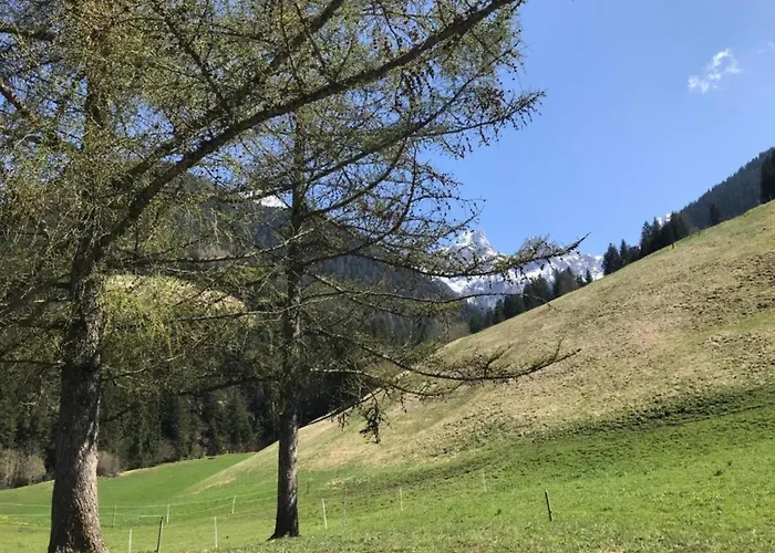 Modern In Sellinghausen With Terrace Apartment